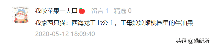 乖乖猪世界30攻略(乖乖猪世界3 15级技能)