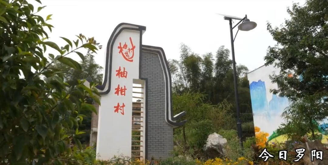 罗阳村的风水大师