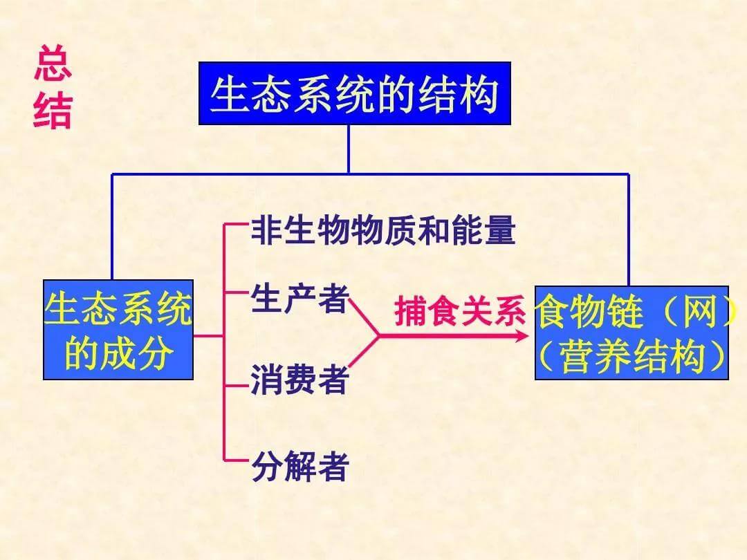 生态系统消费者有哪些(生态系统消费者的地位)