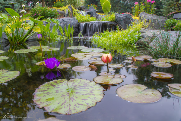 葫芦形水池风水图片