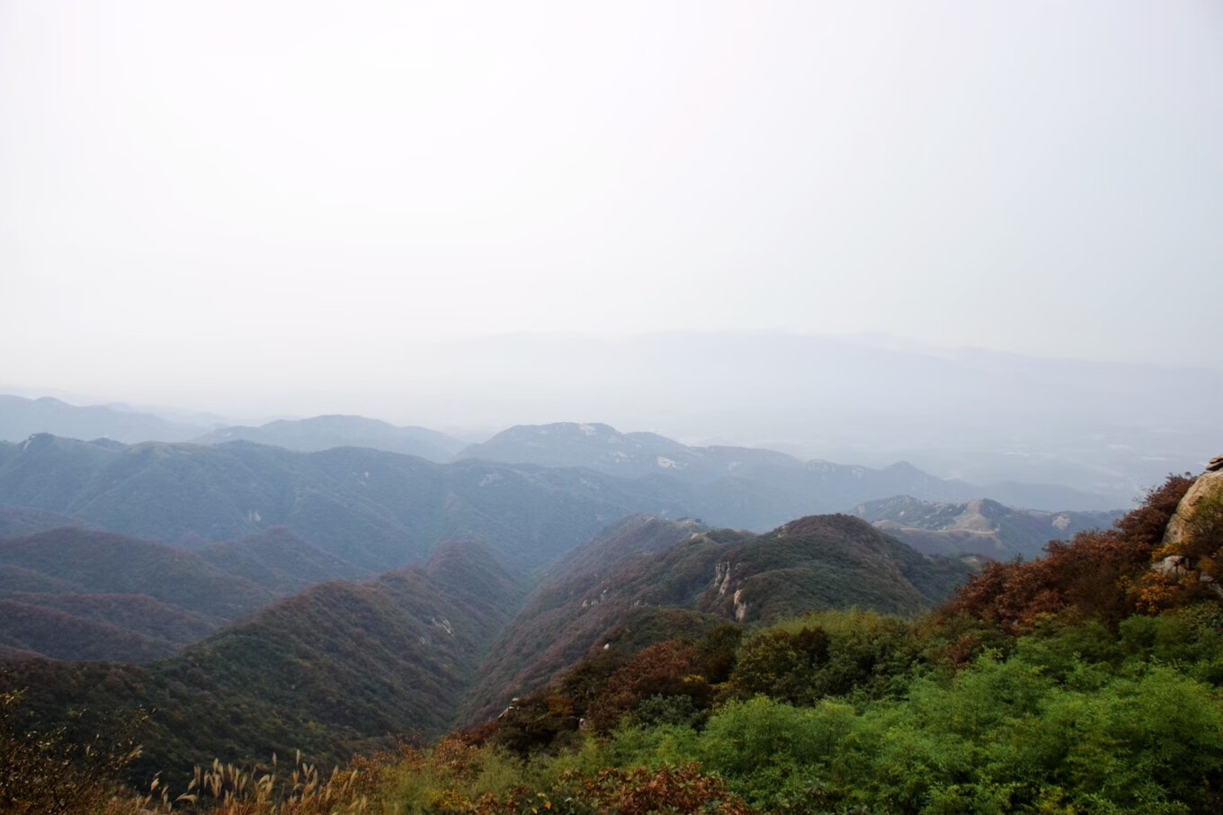 桐柏县桐柏山风水(桐柏山在哪)-百科学社
