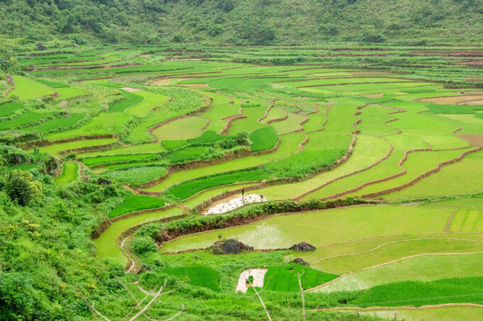 广西百色靖西风水宝地(广西风水宝地大全)