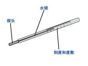 水银温度计腋下测量怎么看(腋下水银体温计要加0.5度吗)