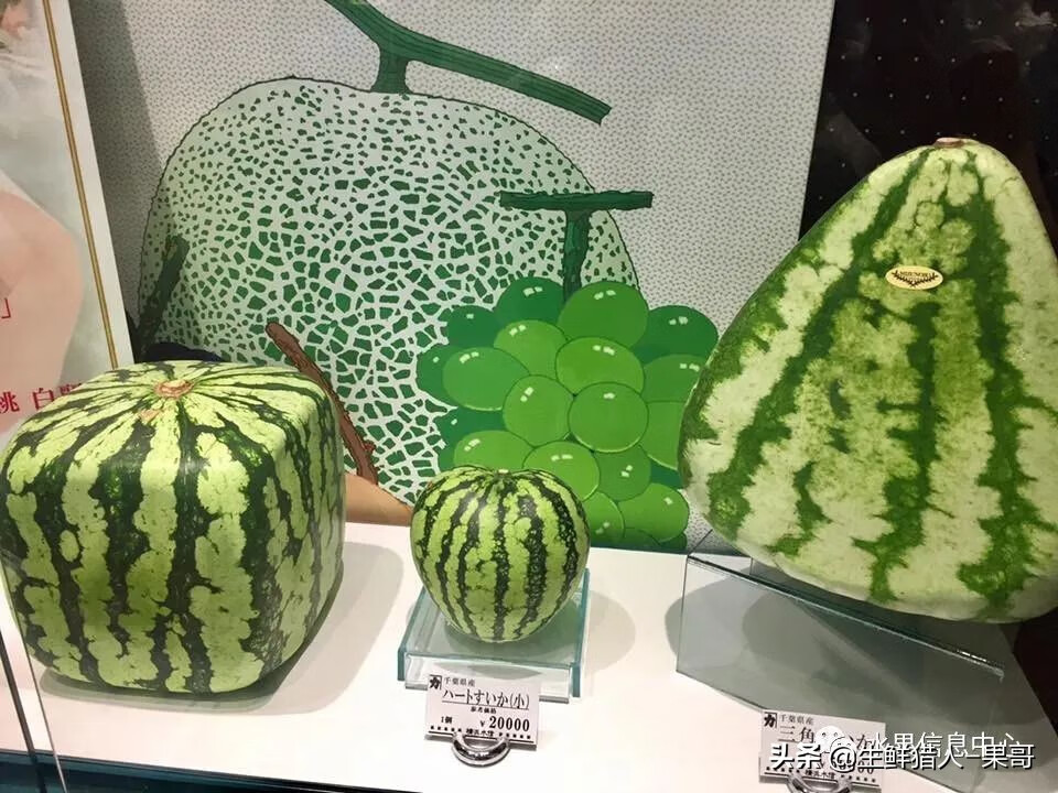 果(果蓏)