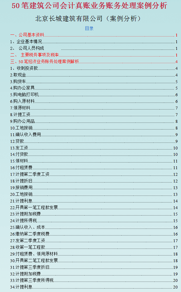 真账实操(会计真账)