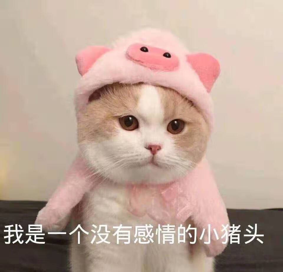 婴儿洗衣液执行标准(婴儿洗衣液品牌)