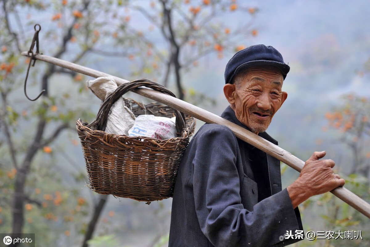 老祖宗总结的农谚，越看越有味儿！这些大白话，你记住多少？