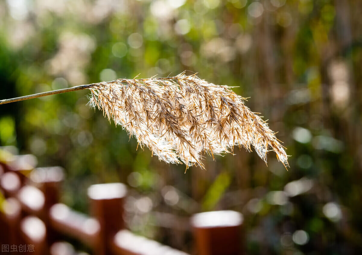 神话之网游(网游新神话)