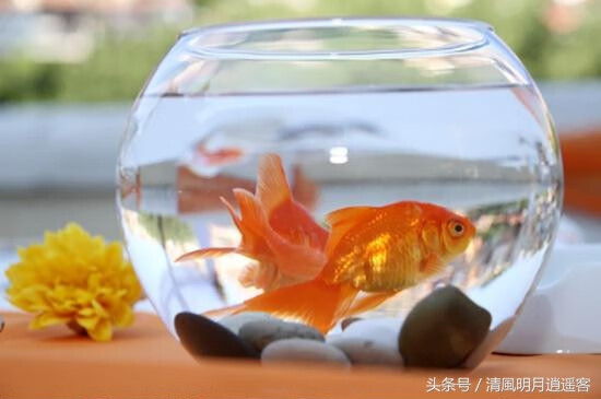 关于风水的图片(风水设计图片)