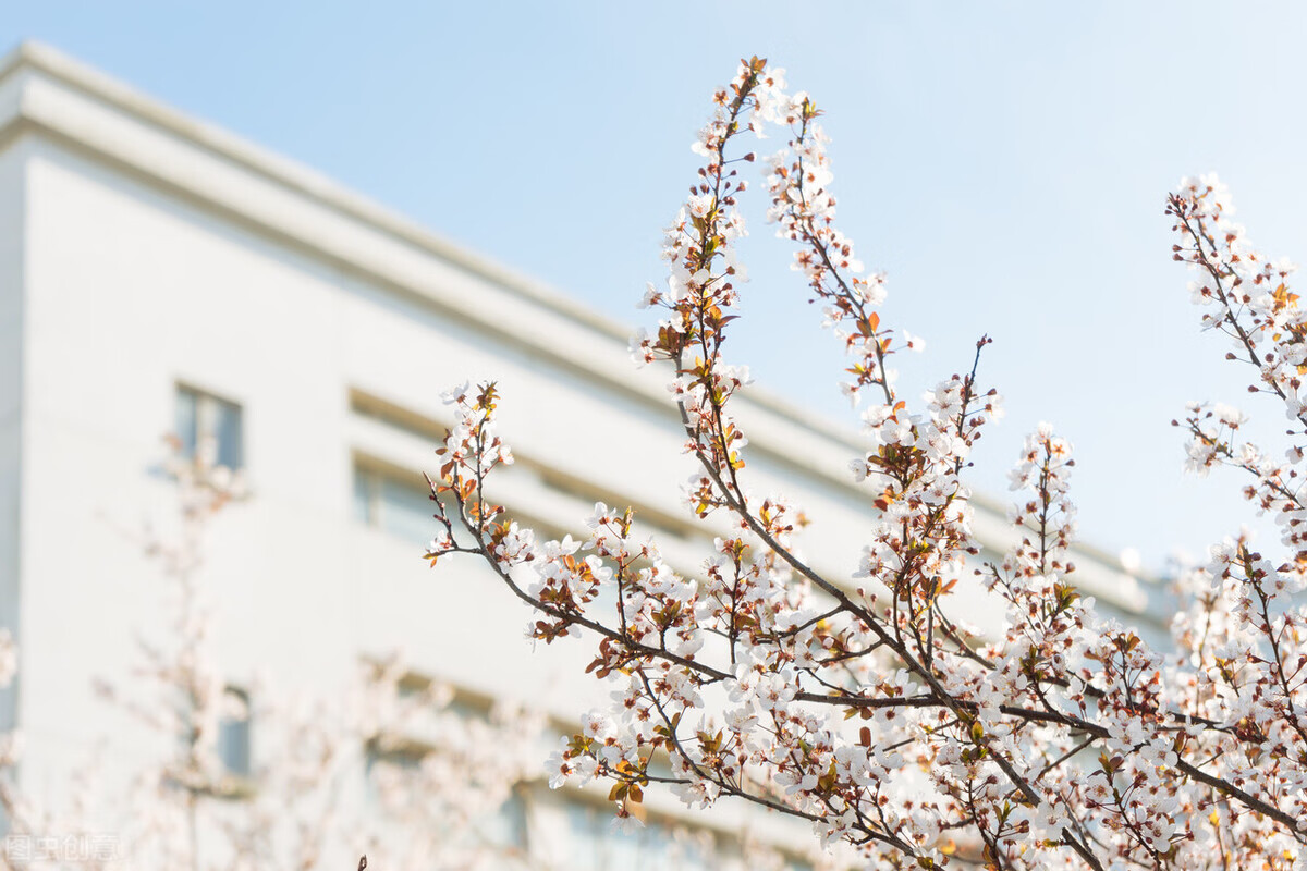 上海大学理学院研究生院(上海大学理学院领导)