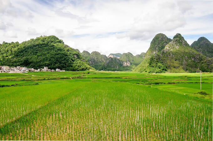 广西百色靖西风水宝地(广西风水宝地大全)