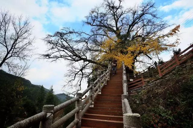 贵州黔北农村风水(贵州黔北旅游)