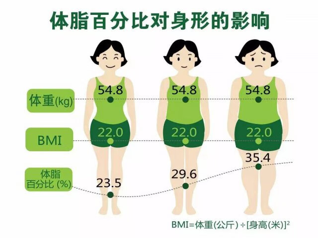 瘦身衣真的能瘦吗(瘦身衣穿久了对身体有害吗)