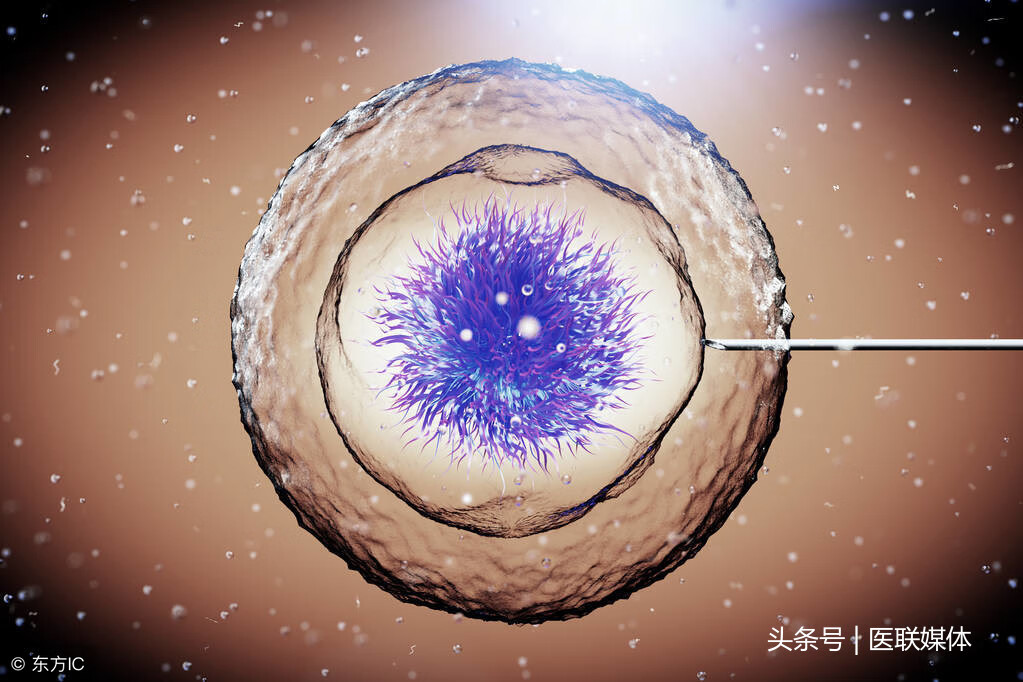 胎盘植入是什么意思(胎盘植入子宫图片)