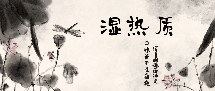 湿热体质吃什么食物好(湿热体质怎么调理食疗)