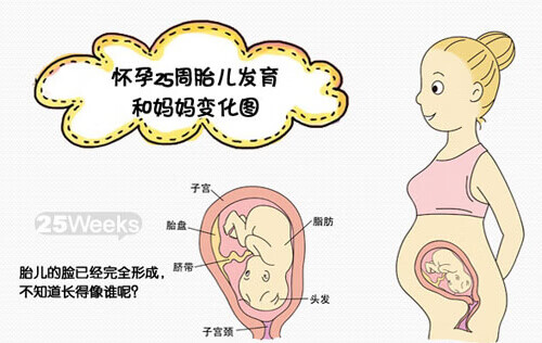 怀孕7个月肚子大小(怀孕7个月胎儿有多大)