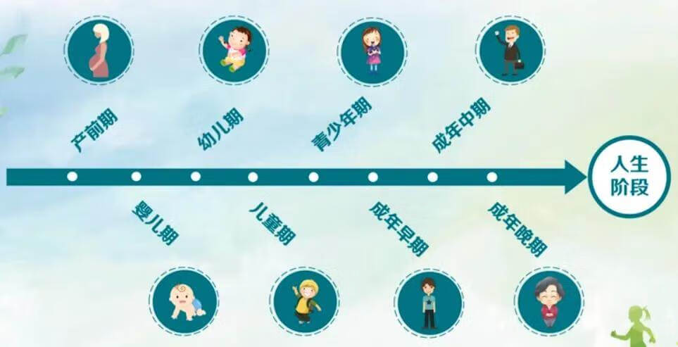 发展心理学名词解释(发展心理学研究的是)
