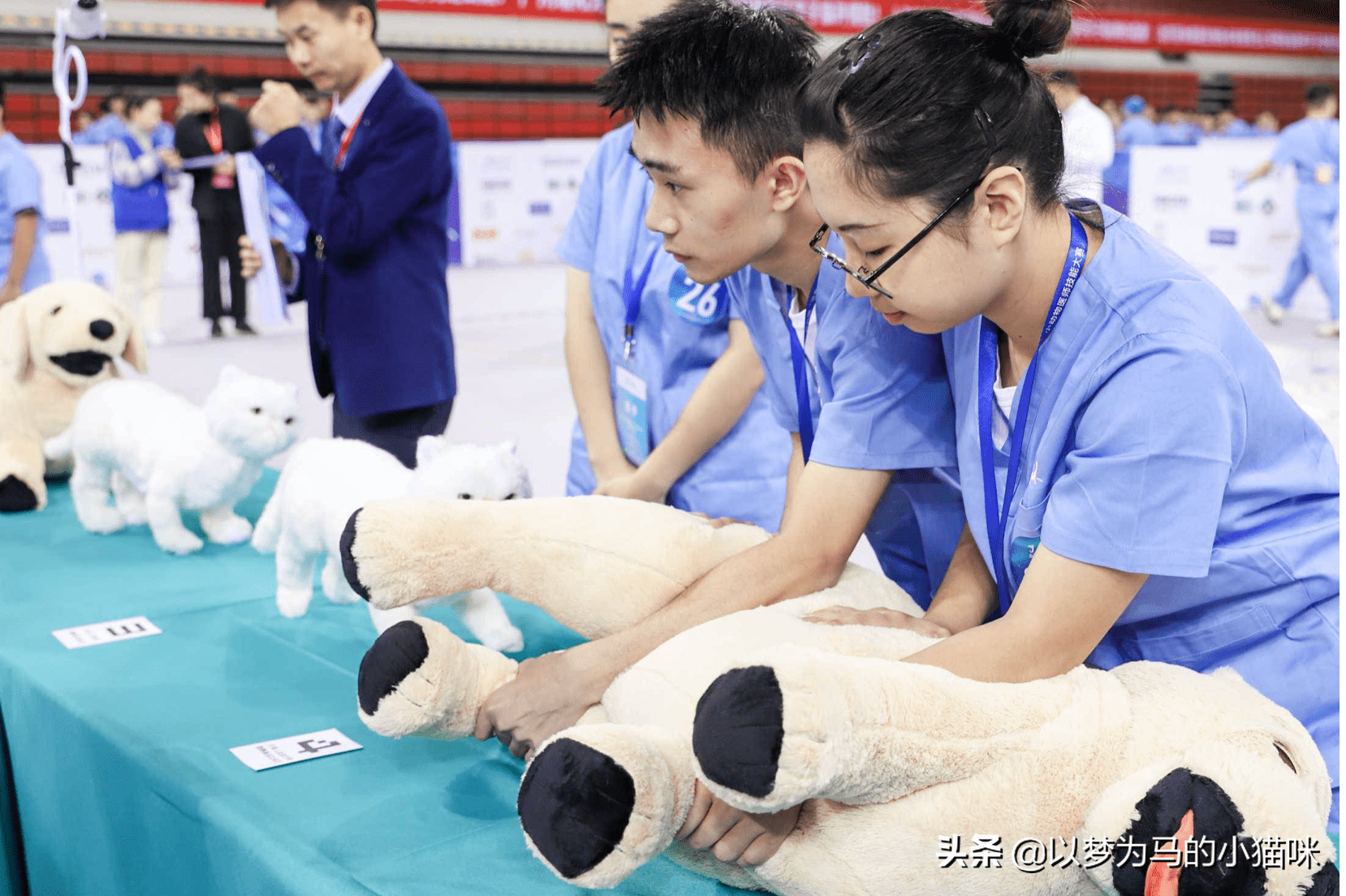 理科生女生学什么专业好就业(理科生女生适合学什么专业)