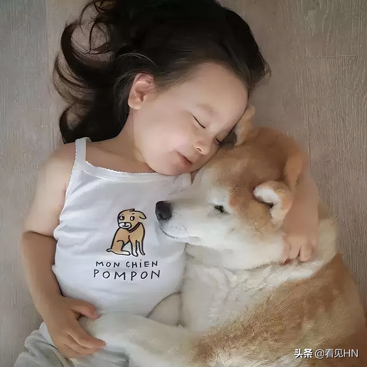 孕妇梦见狗是什么意思(孕妇梦见狗一定生女孩)