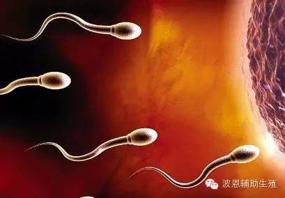体外射怀孕的可能性多少 有怀孕得吗(一招知道自己怀孕了)