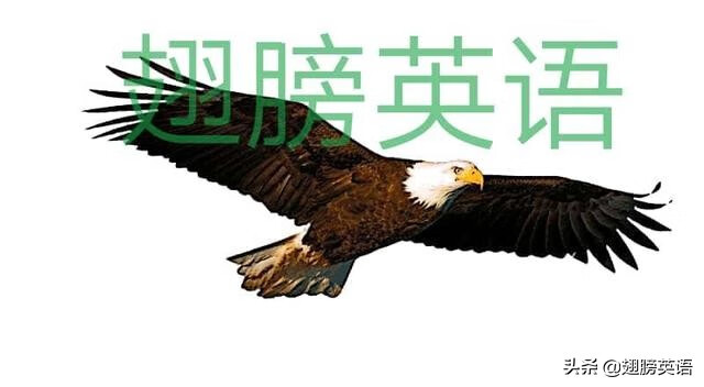 wear过去式是什么