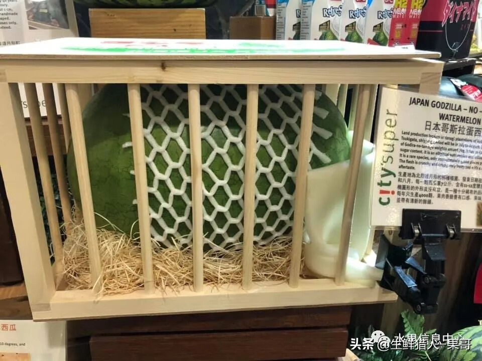 果(果蓏)