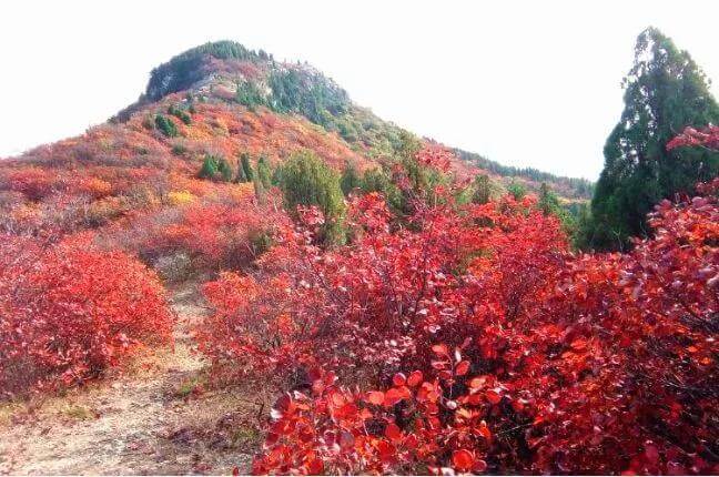 人只要心存善良哪里都是风水宝地(怎样找风水宝地)