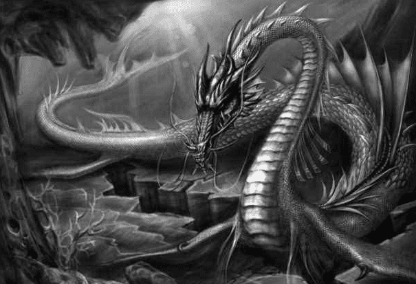 蛇化龙寓意(山东真实的蛇化龙的事)