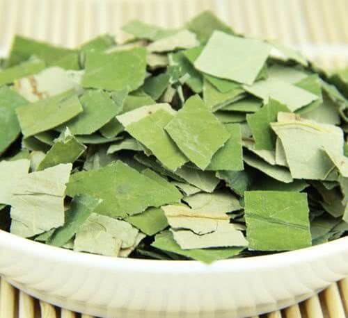经常喝荷叶茶可以减肥吗(荷叶茶真的能减肥吗)
