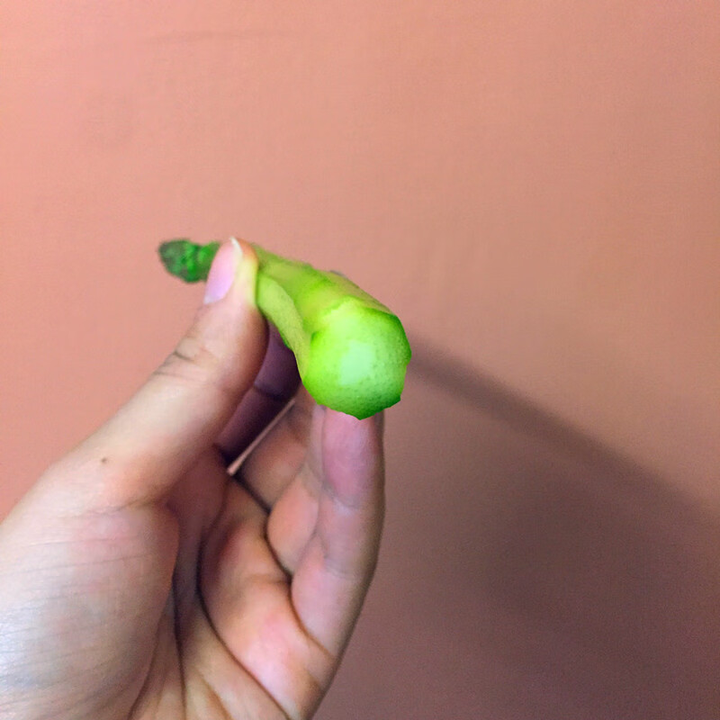 芦笋要削皮吗?(炒芦笋要削皮吗)