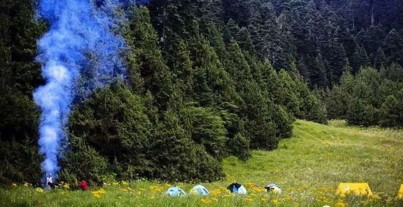 7月份适合去哪里旅游?(七月份自驾游适合去哪里旅游)