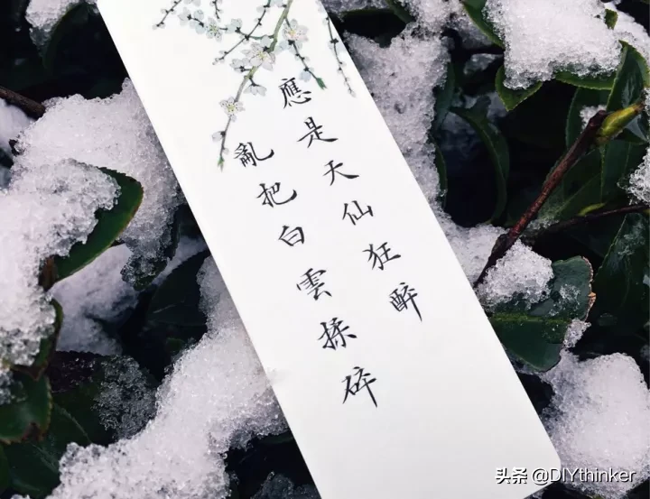 关于雪的文章摘抄(描写雪的短文)