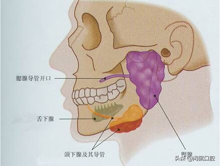 急性腮腺炎的治疗(腮腺炎最有效的治疗方法)