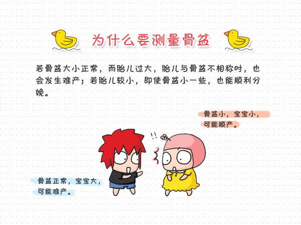 怎么测骨盆(骨盆测量图解)