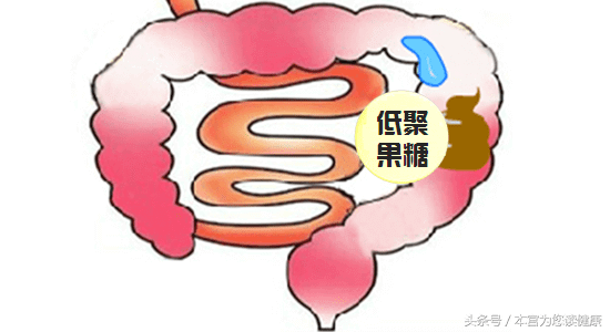 低聚果糖治疗便秘的功效(低聚果糖治疗便秘有依赖性吗)