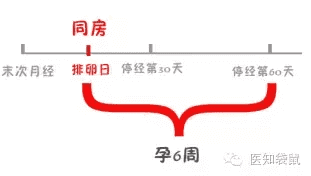 胎芽是什么部位(胎芽是什么样的图片)