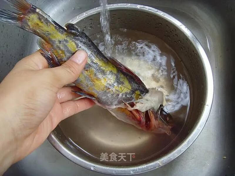 嘎鱼 营养价值(嘎鱼的营养价值高吗)