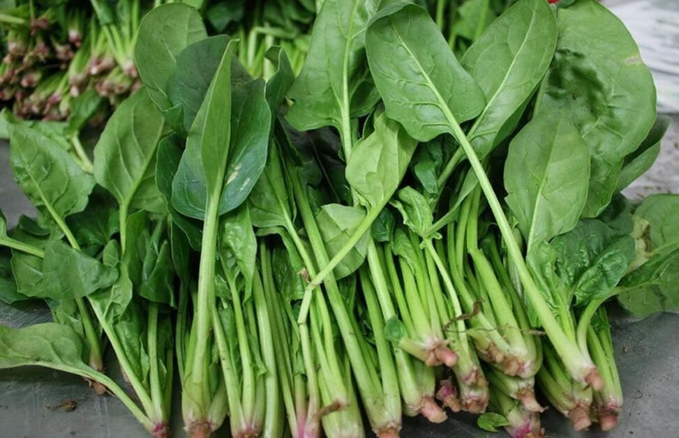 菠菜的做法大全窍门(菠菜的几种吃法)