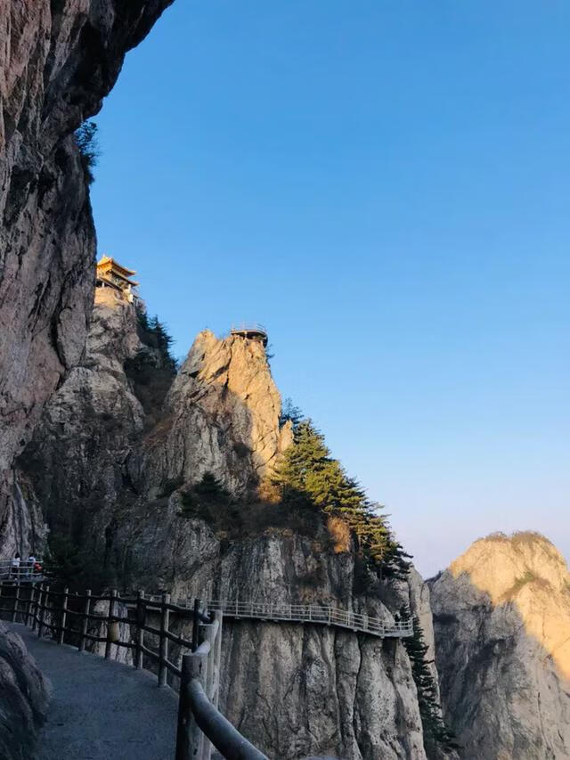 嵩山少林寺介绍(嵩山少林寺旅游景点)