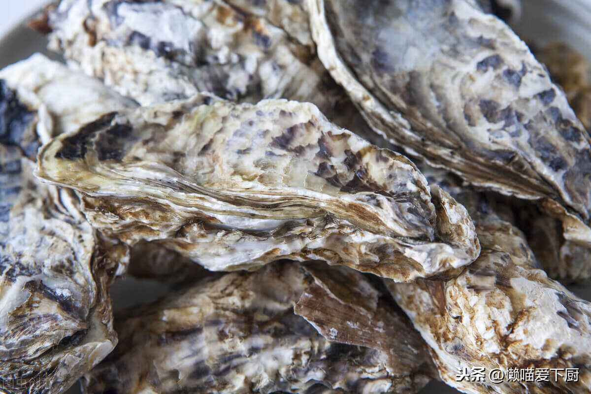 生蚝怎么吃东西(生蚝的食用方法)