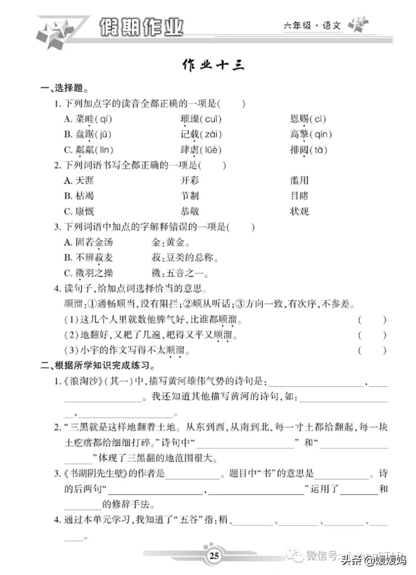 部编版语文六年级（上册）《寒假作业》