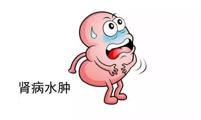 水肿的原因有哪些(水肿是什么原因造成的)