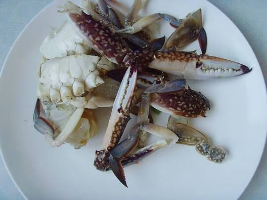冰鲜螃蟹怎么做好吃(螃蟹的各种做法)