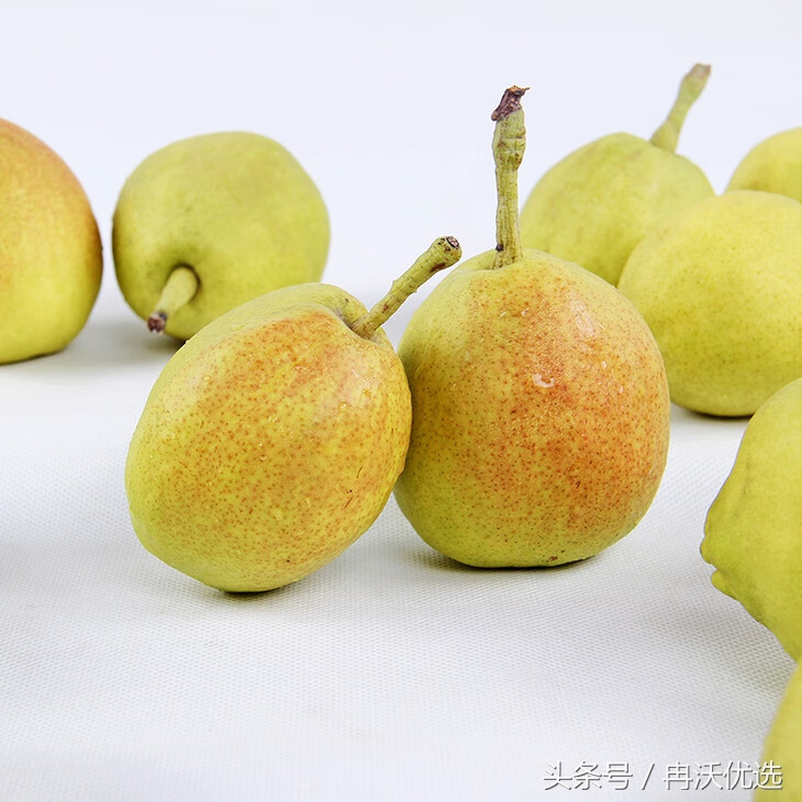 什么是风水梨(风水梨)
