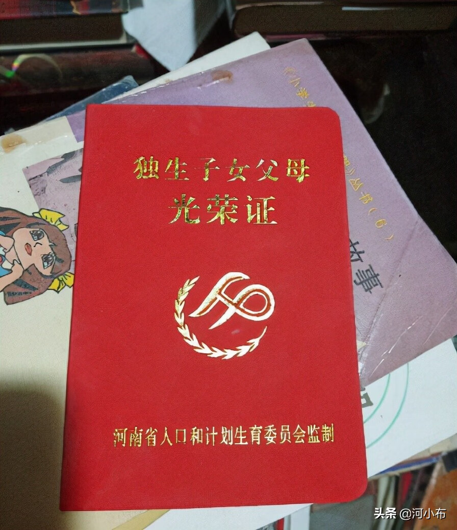 独生子女证办理流程图(独生子女证领取流程)