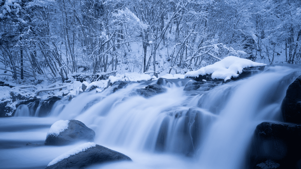 写写雪的古诗(写雪的古诗名句)