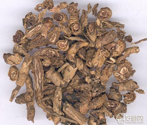 黄连的功效与作用(黄连的神奇功效与作用)