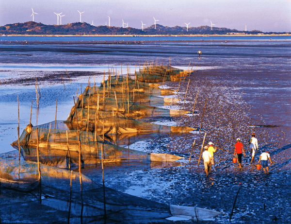 多图｜红海湾好吃好玩的，这场推介会统统告诉你