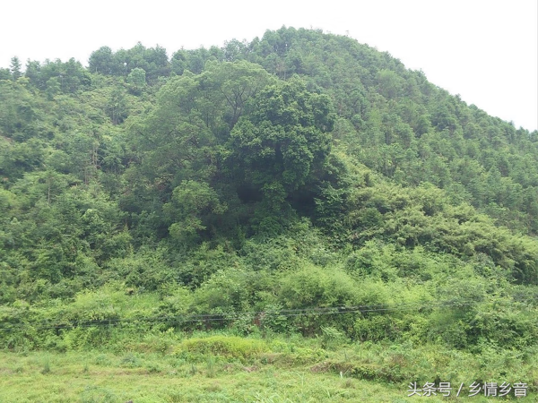 神奇的风水传说(风水真的很神奇)