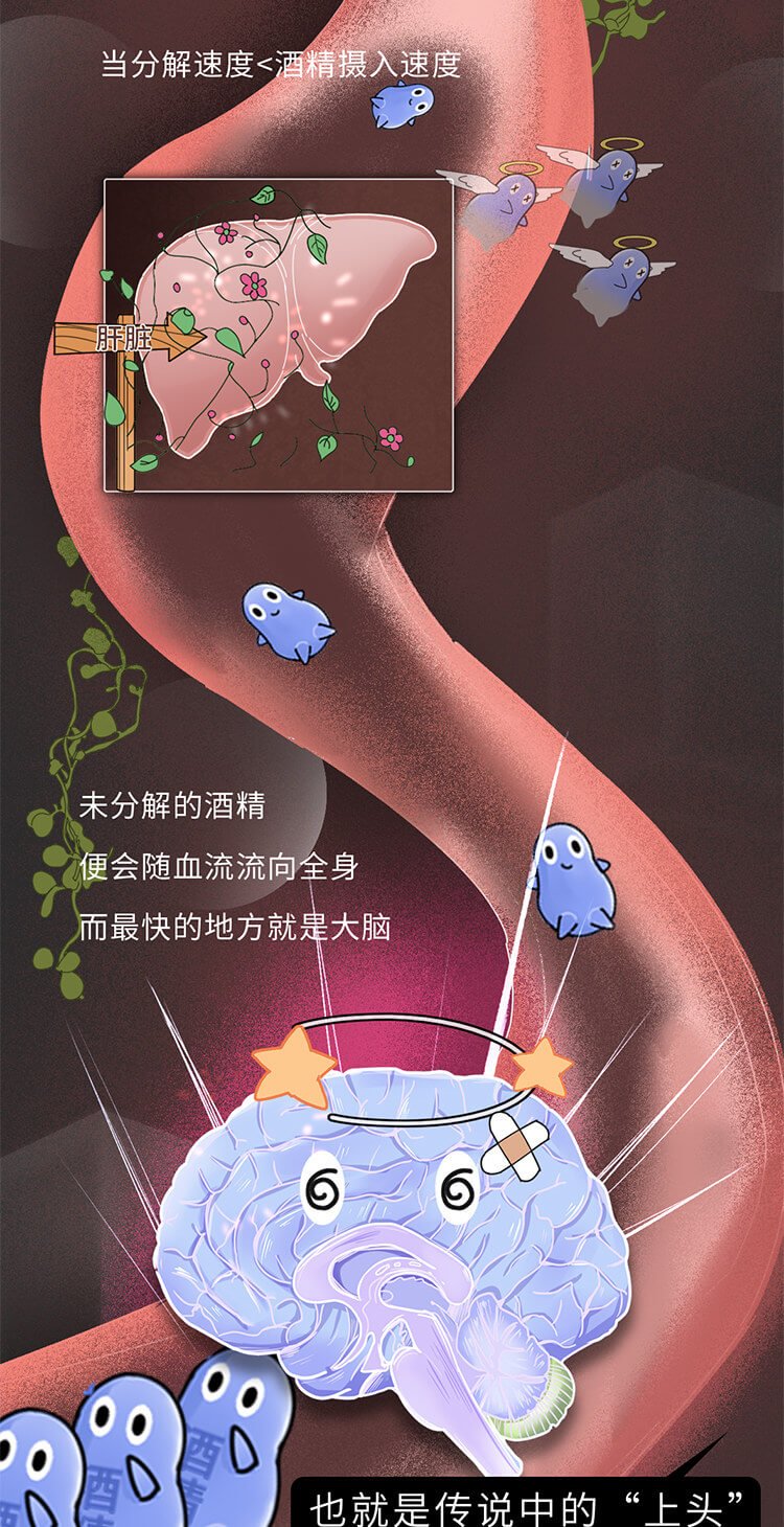 酒后吃什么解酒?(喝酒之后吃什么解酒)